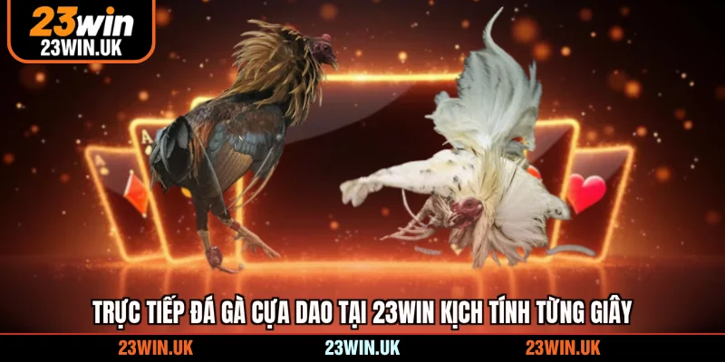 trực tiếp đá gà cựa dao